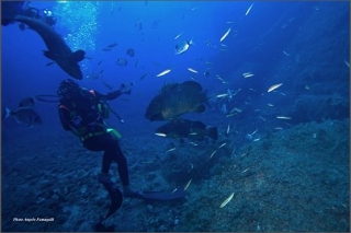  Bucear en las aguas más cristalinas 